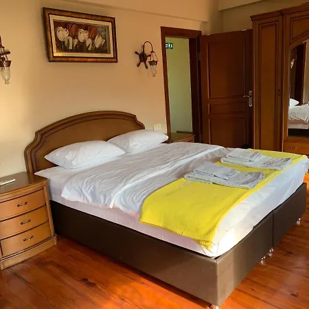 Seker Konak Villa Sakarya