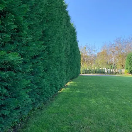 Seker Konak Villa Sakarya